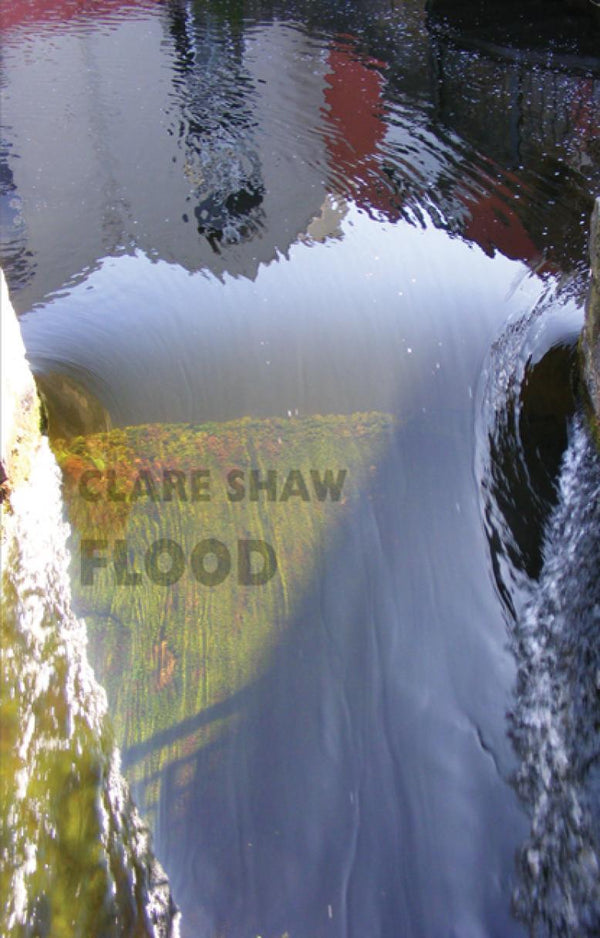 Flood by Clare Shaw