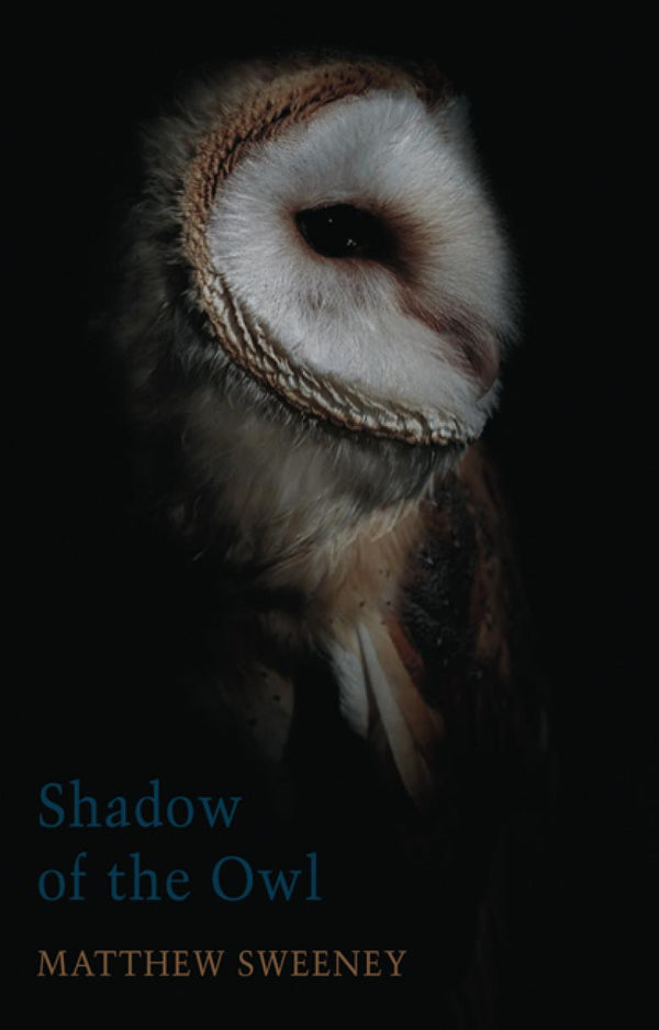 Shadow of the Owl by Matthew Sweeney <br><b>PBS Wild Card Winter 2020</b><br>