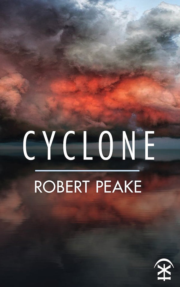 Cyclone by Robert Peake