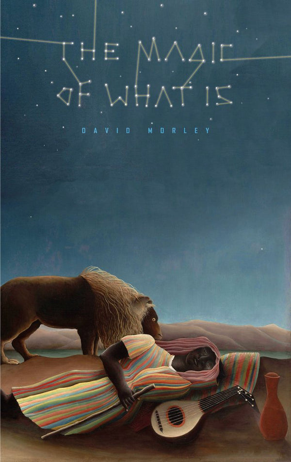 The Magic of What's There by David Morley