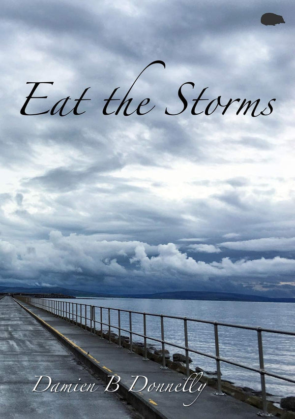 Eat The Storms by Damien Donnelly