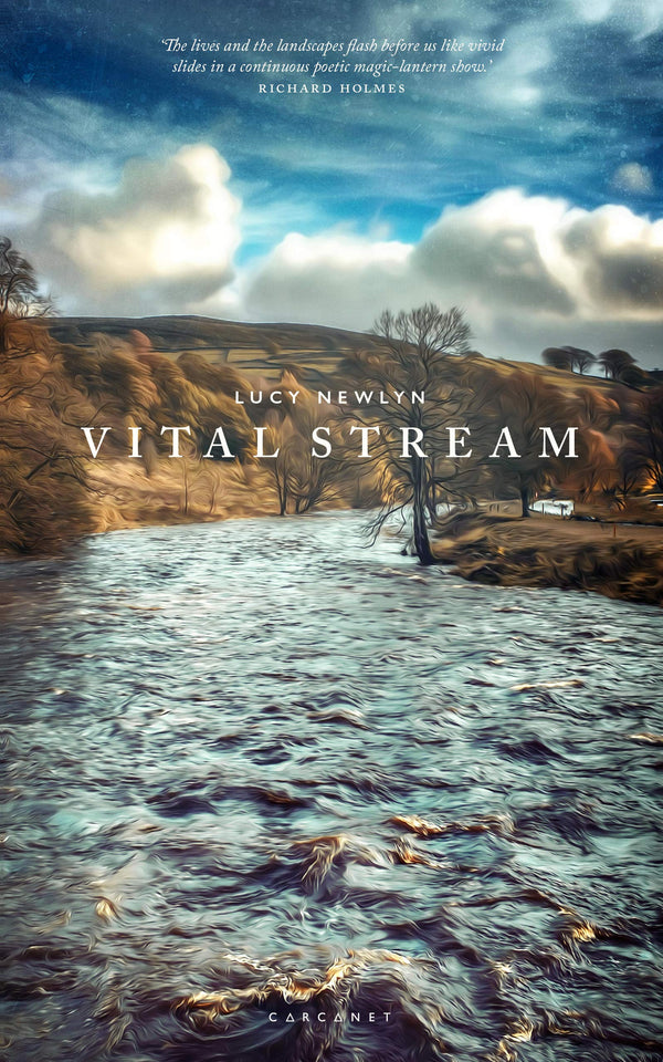 Vital Stream by Lucy Newlyn