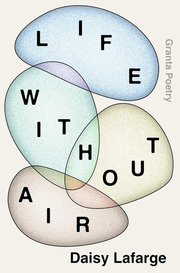 Life Without Air by Daisy Lafarge <br><b>PBS Recommendation Winter 2020</b>