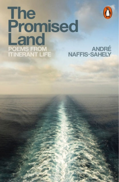 The Promised Land: Poems from Itinerant Life by Andre Naffis-Sahely