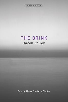 The Brink by Jacob Polley