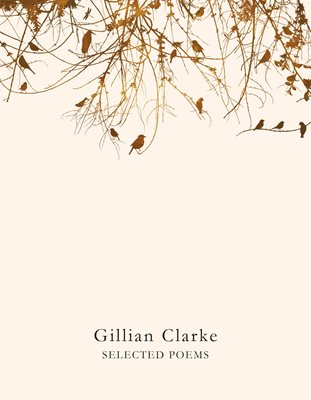 Selected Poems by Gillian Clarke