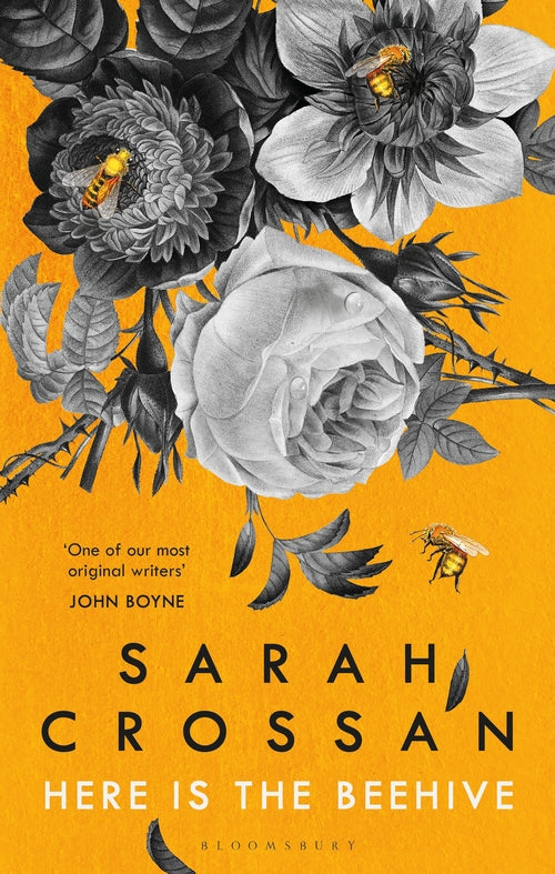 Here is the Beehive	by Sarah Crossan