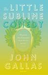 The Little Sublime Comedy by John Gallas