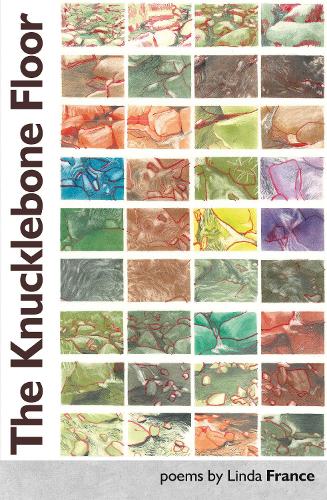 The Knucklebone Floor by Linda France