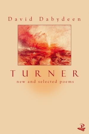 Turner by David Babydeen