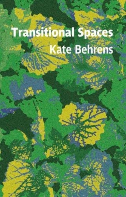 Transitional Spaces by Kate Behrens