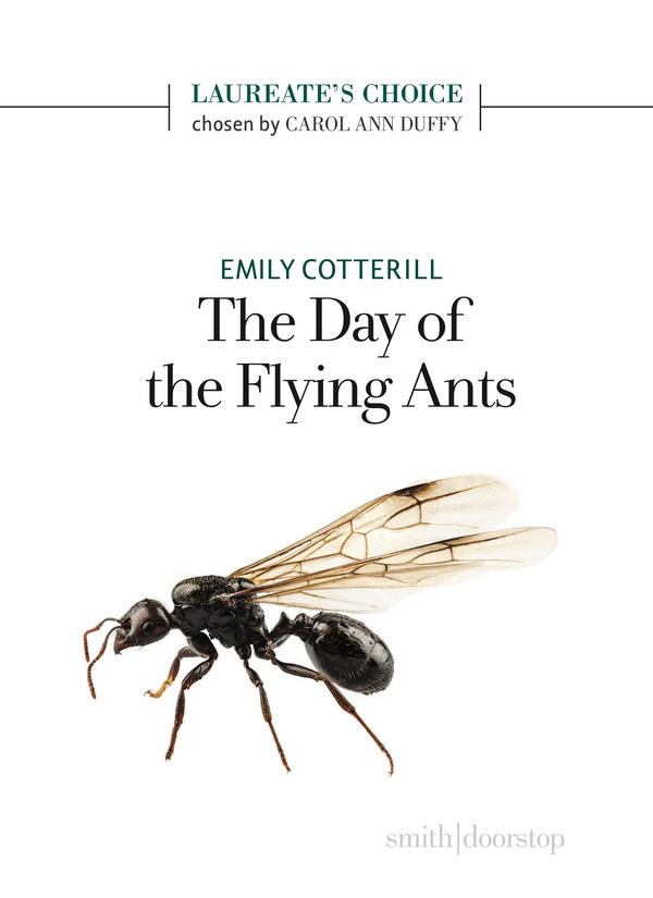 The Day of the Flying Ants by Emily Cotterill