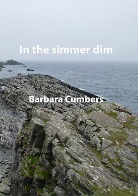 In the simmer dim by Barbara Cumbers