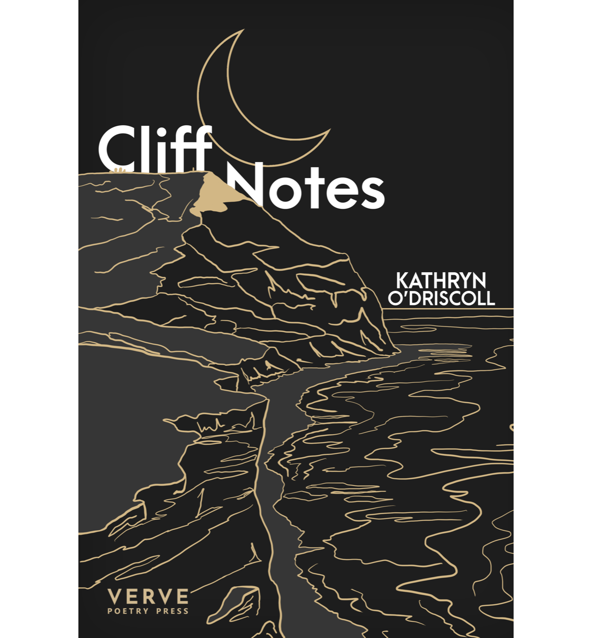 Cliff Notes by Kathryn O'Driscoll The Poetry Book Society