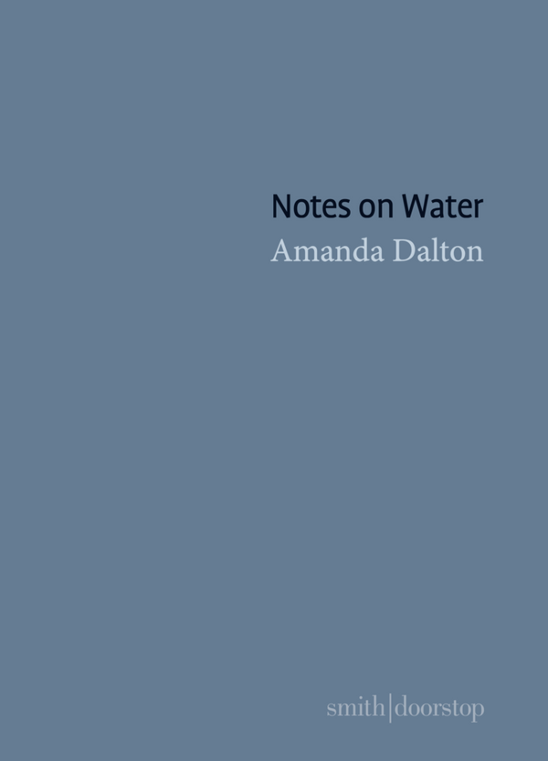 Notes on Water By Amanda Dalton