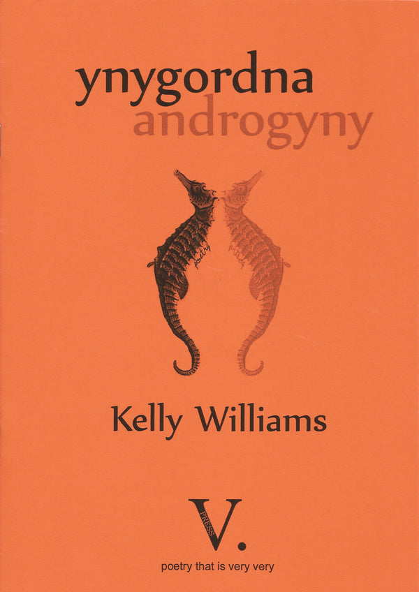 Ynygordna by Kelly Williams