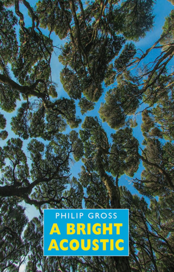 A Bright Acoustic by Philip Gross