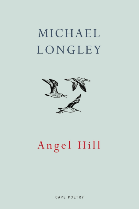 Angel Hill by Michael Longley <b> Forward Prize Shortlist </b>