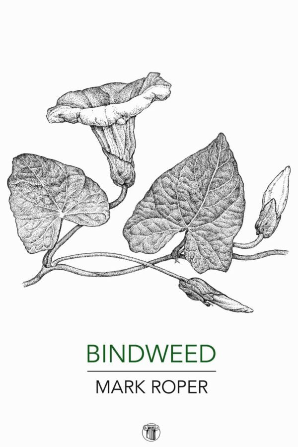 Bindweed by Mark Roper