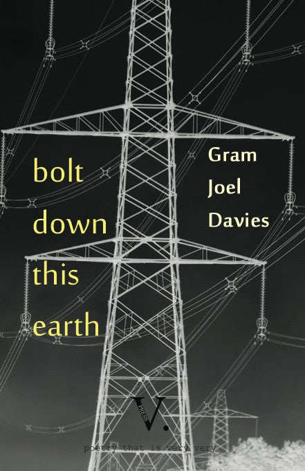 Bolt Down This Earth by Gram Joel Davies