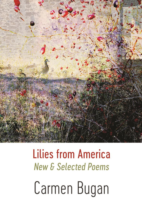 Lilies from America: New & Selected Poems by Carmen Bugan <br><b>PBS Autumn Special Commendation 2019</b>