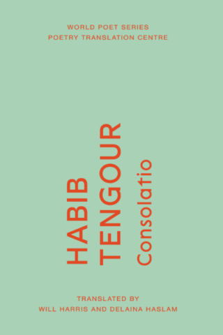 Consolatio by Habib Tengour trans. By Delaina Haslam and Will Harris