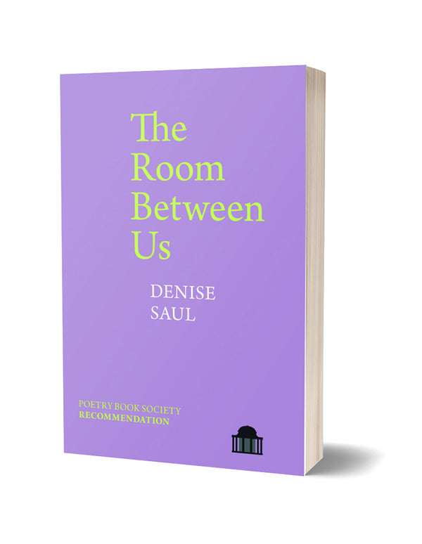 The Room Between Us by Denise Saul <b><br>PBS Summer Recommendation 2022</b>