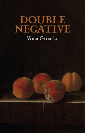 Double Negative by Vona Groake