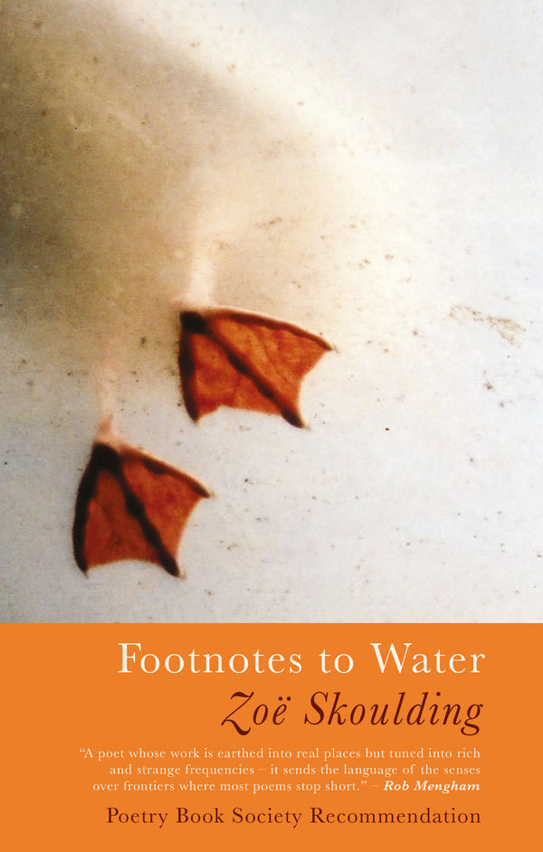 Footnotes to Water by Zoë Skoulding <b><br>PBS Winter Recommendation 2019</b>