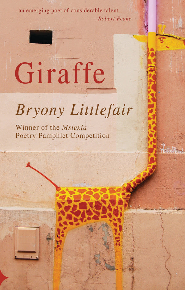 Giraffe by Bryony Littlefair