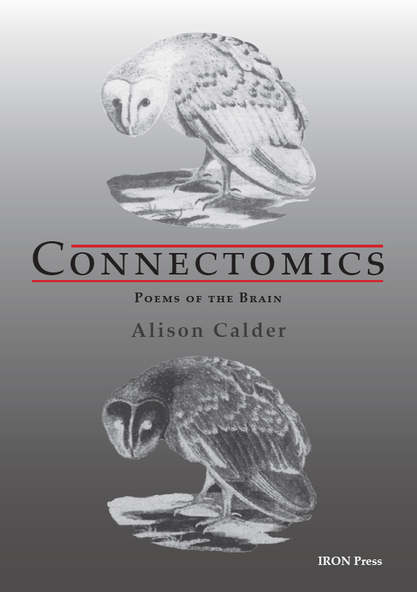 Connectomics by Alison Calder