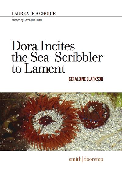 Dora Incites the Sea-Scribbler to Lament by Geraldine Clarkson