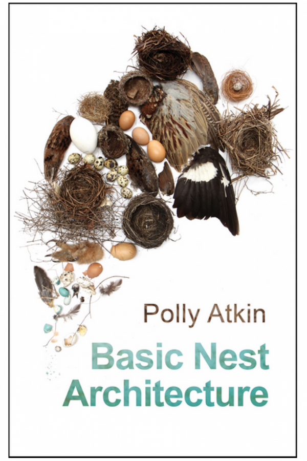 Basic Nest Architecture by Polly Atkin