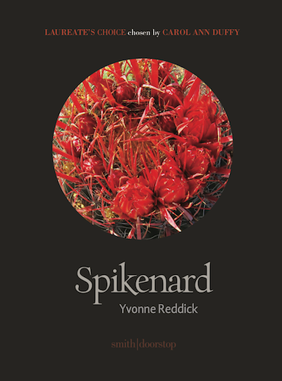Spikenard by Yvonne Reddick