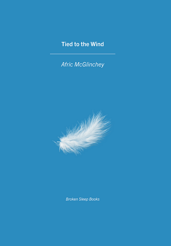 Tied to the Wind by Afric McGlinchey