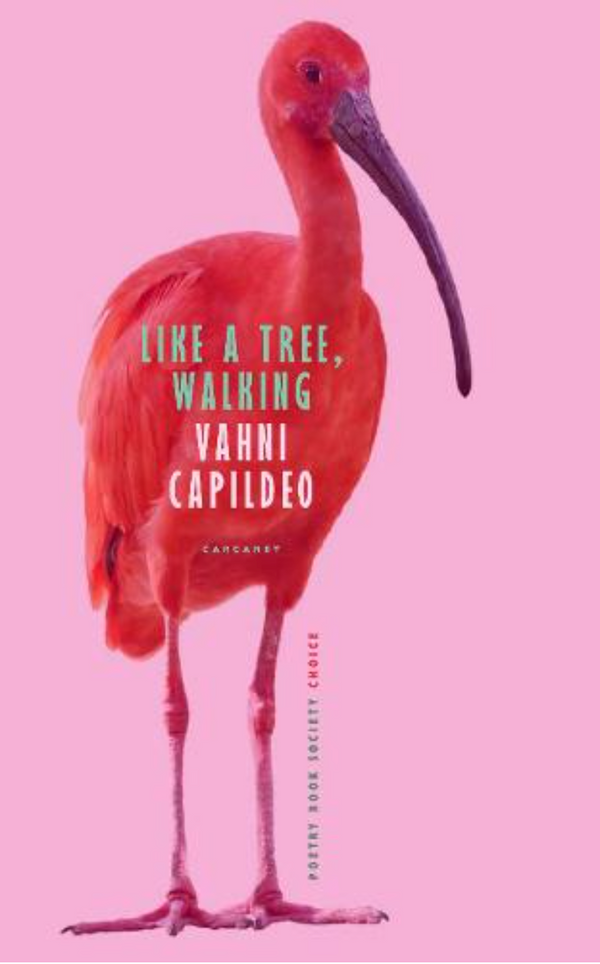 Like a tree walking by Vahni Capildeo<b><br>PBS Winter Choice 2021</b>