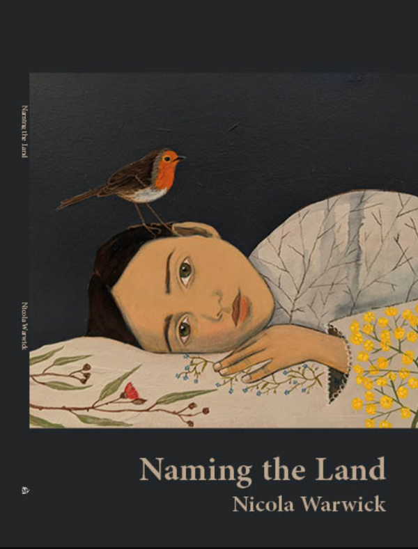 Naming the Land by Nicola Warwick
