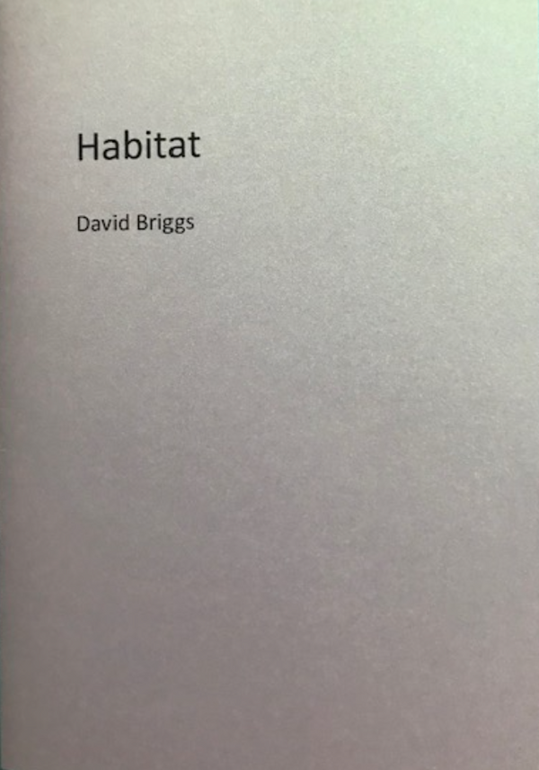 Habitat by David Briggs