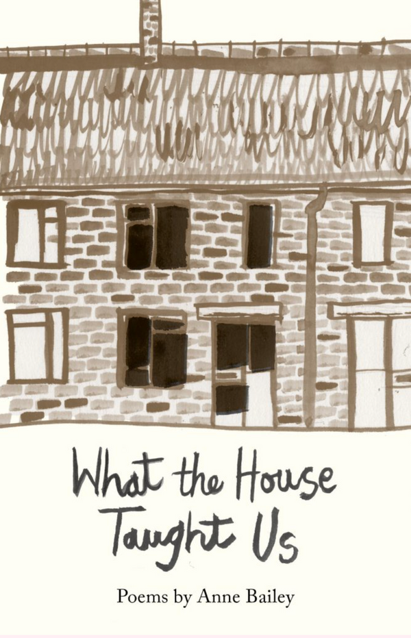 What the House Taught Us by Anne Bailey