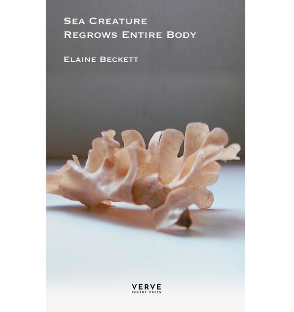 Sea Creature Regrows Entire Body by Elaine Beckett