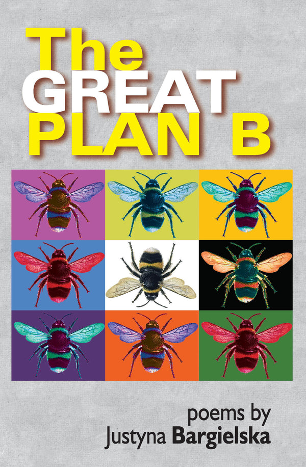 The Great Plan B by Justyna Bargielska, transl. by Maria Jastrzebska