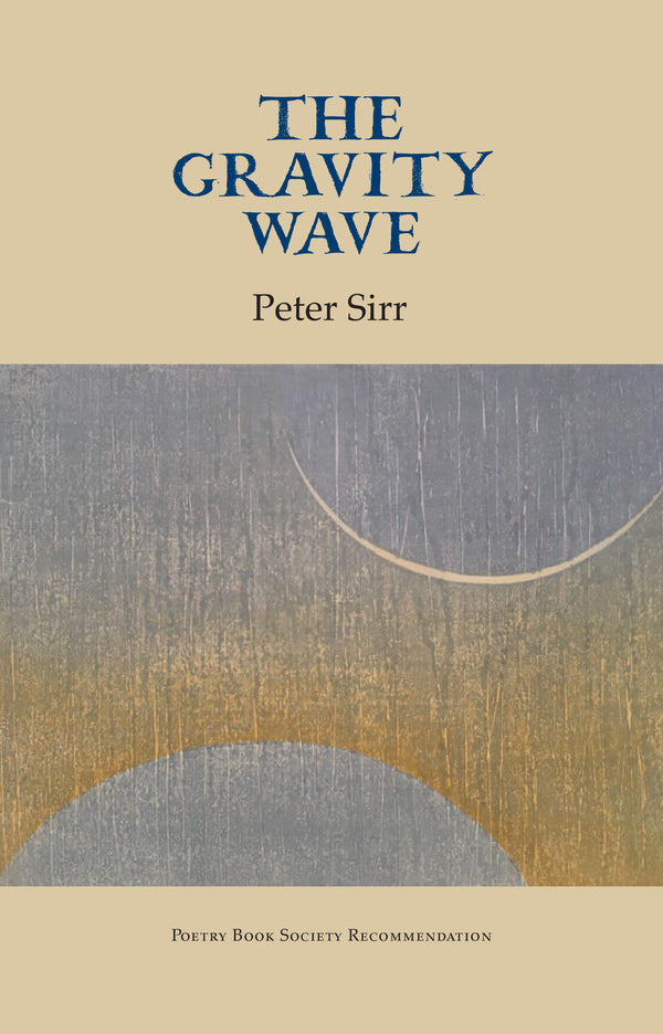 The Gravity Wave by Peter Sirr <br><b>PBS Autumn Recommendation 2019</b>