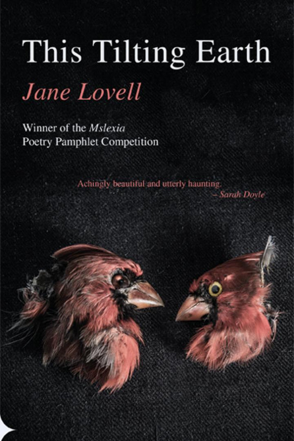 This Tilting Earth by Jane Lovell