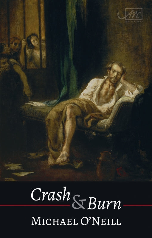Crash & Burn by Michael O'Neill