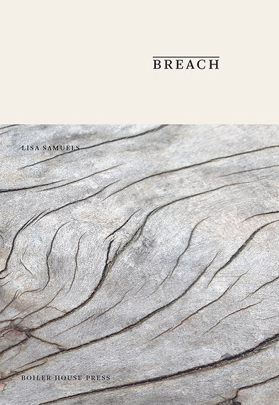 Breach by Lisa Samuels