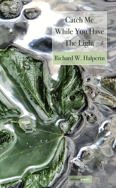Catch Me While You Have The Light by Richard W. Halperin