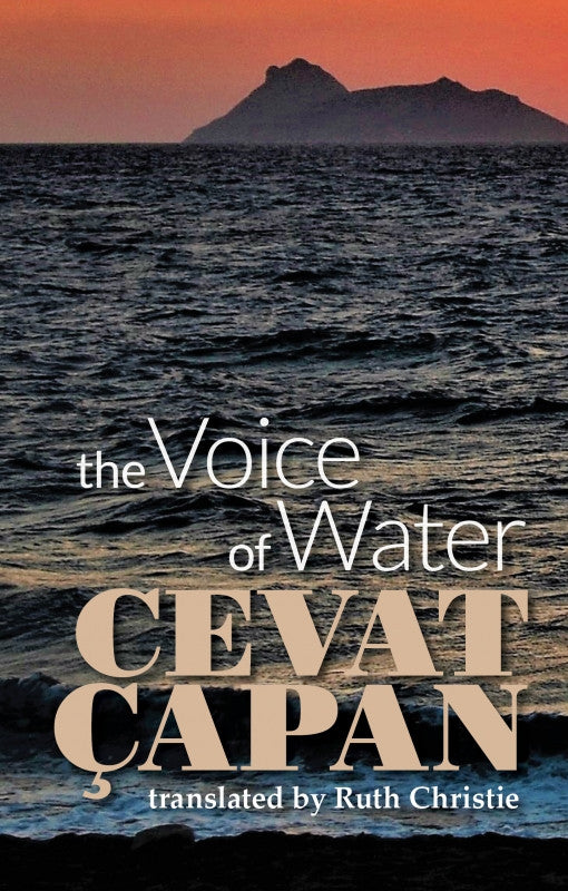 The Voice of Water by Cevat Çapan
