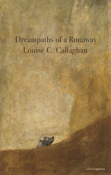 Dreampaths Of A Runaway by Louise C Callaghan