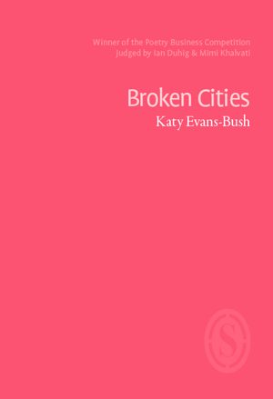 Broken Cities by Katy Evans-Bush