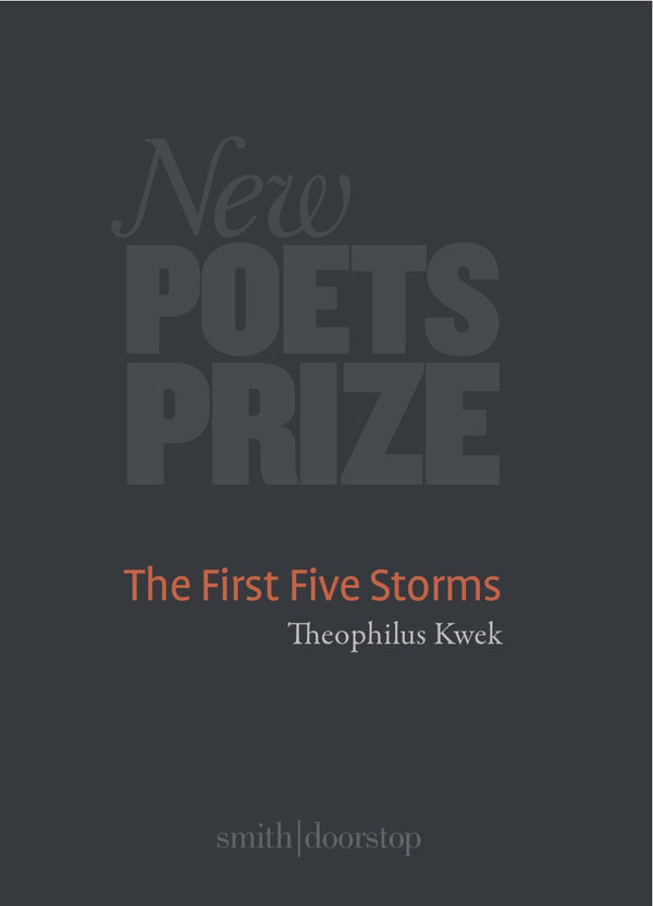 The First Five Storms by Theophilus Kwek